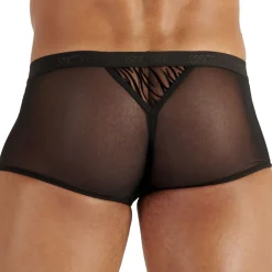 WOH Boxers Sexy-Boxer Court Personal Allure Tigré