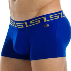 Modus Vivendi Shortys|Boxers-Boxer Meander Royal