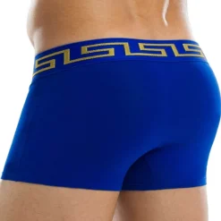 Modus Vivendi Shortys|Boxers-Boxer Meander Royal