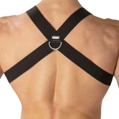 WOH Harnais-Harnais Night Universe Noir