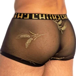 L'Homme invisible Boxers Sexy|Poche Ergonomique-Shorty Hipster Push-Up Epi d'Or Noir