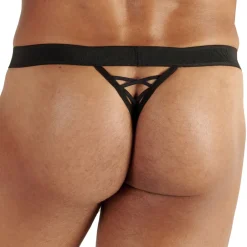 WOH Strings-String Night Universe Noir