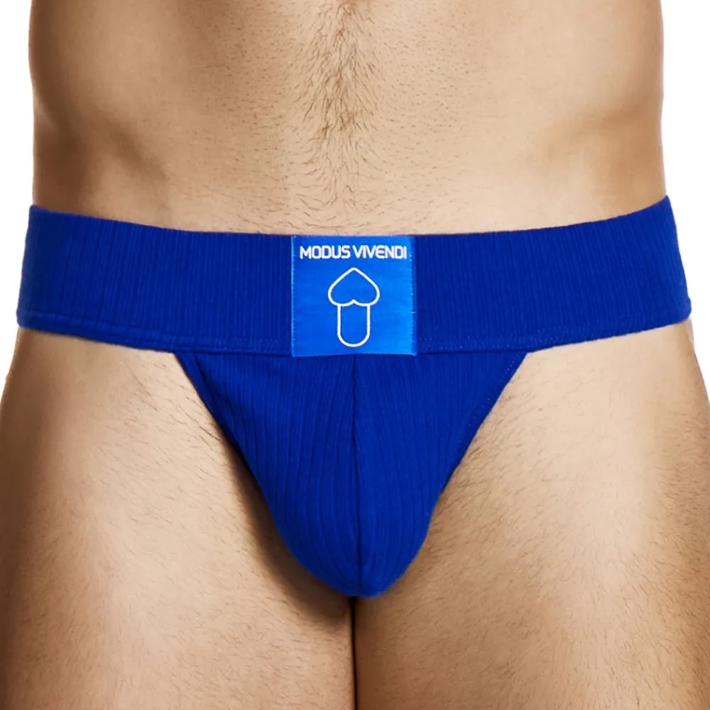 Modus Vivendi Strings-String Ultra Heritage Bleu Roi